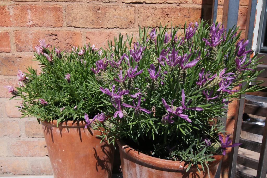 Bed and Breakfast The Bell, Alderminster Stratford-upon-Avon Exterior foto